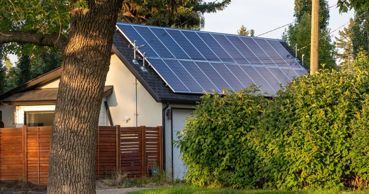 panneau photovoltaïque sur une maison dans la forêt