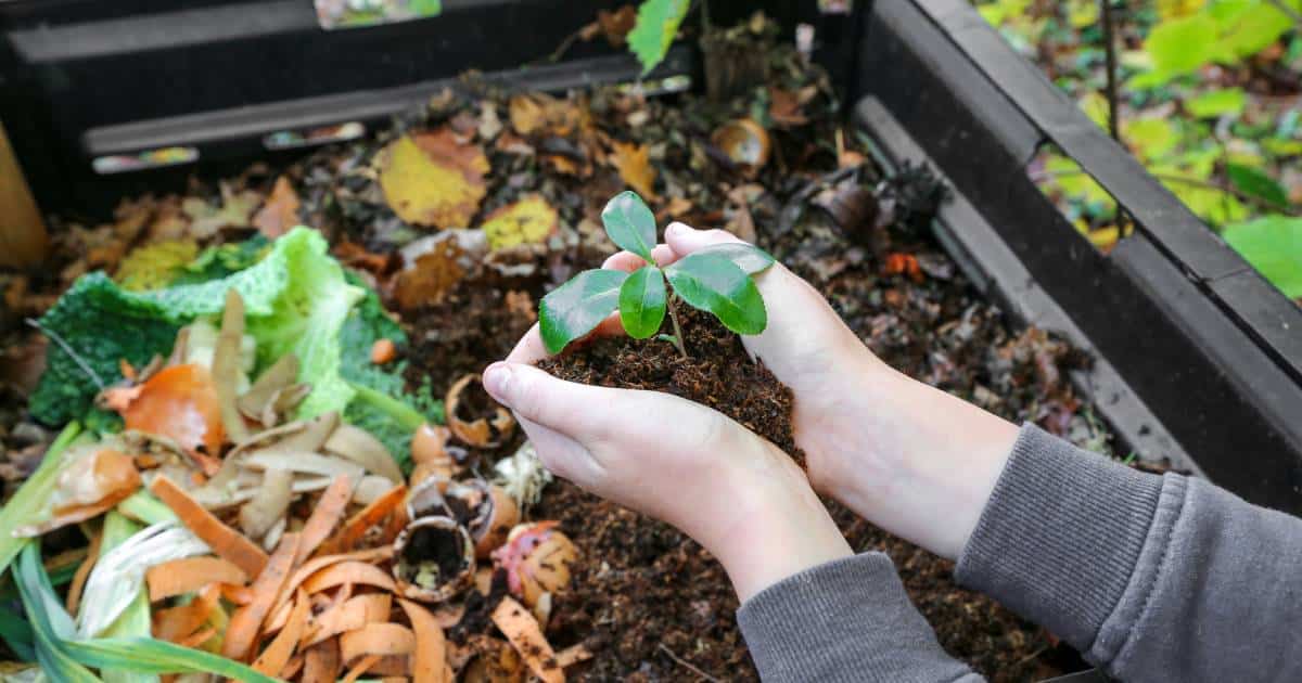 un compost écologique