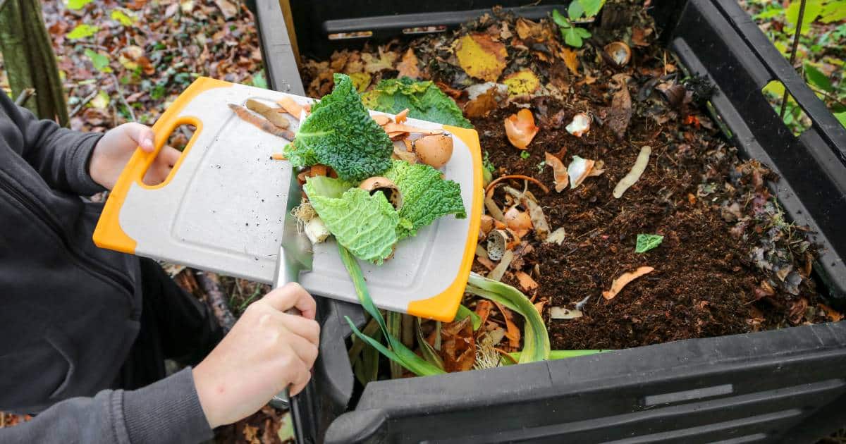 Compost écologique et utile au jardin