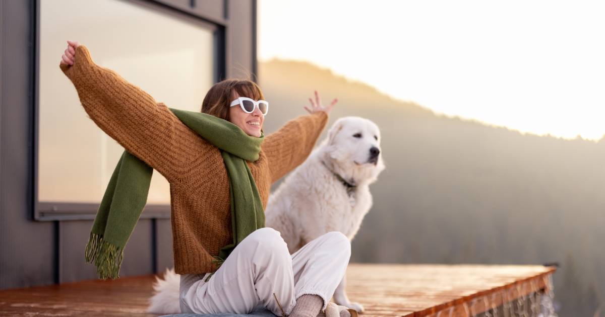 Tiny house avec un chien