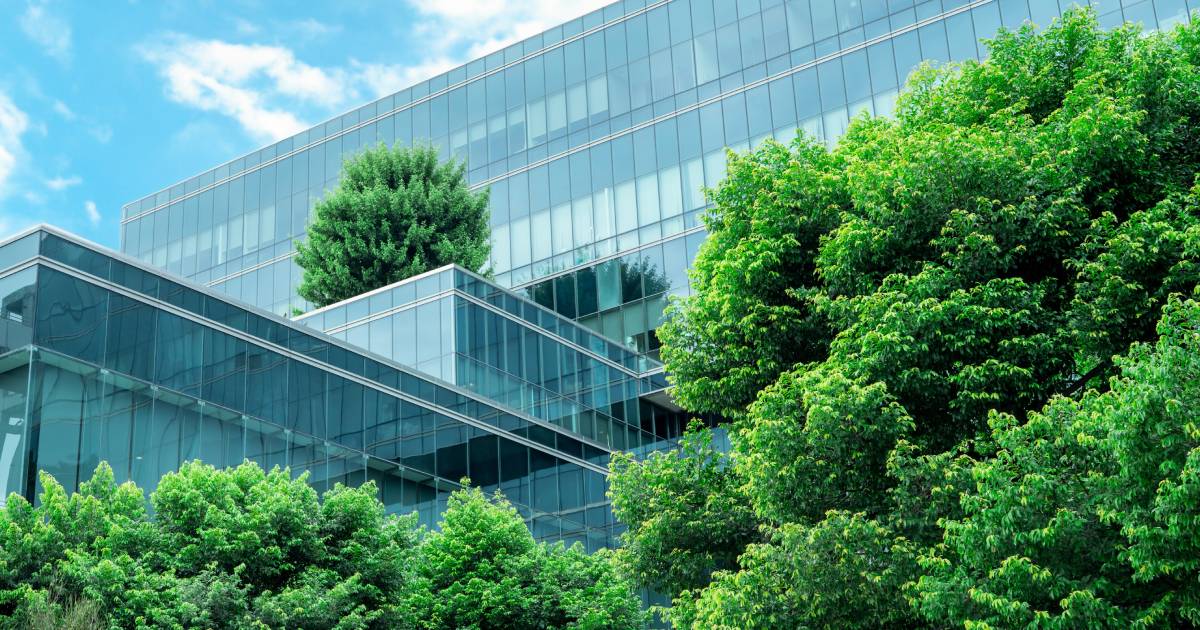 Building en verre avec des arbes