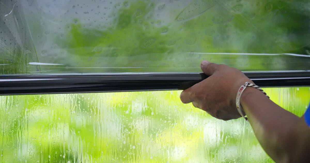 film transparent pour fenêtre