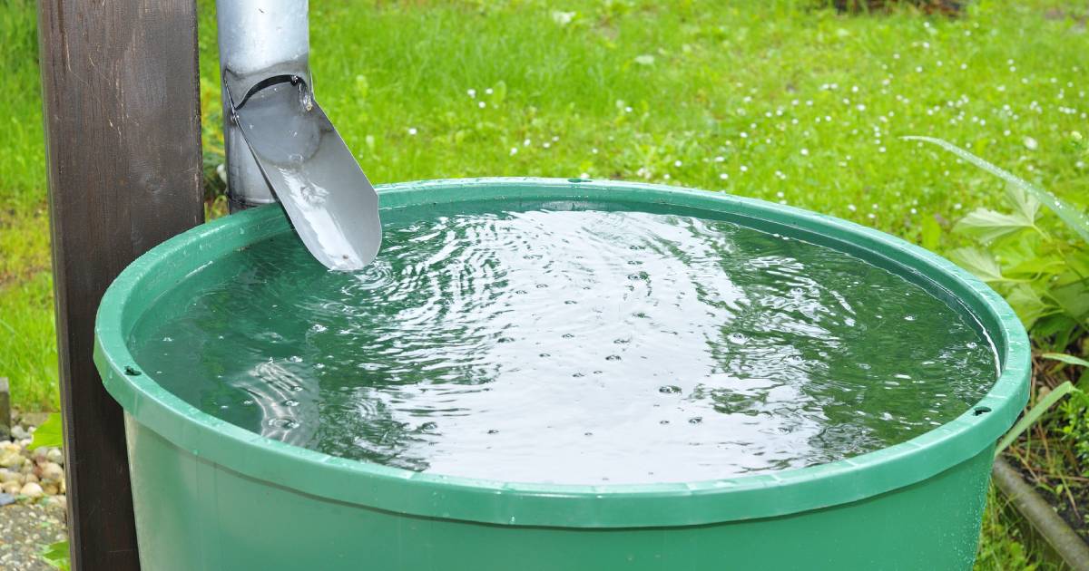 un récupérateur d'eau de pluie