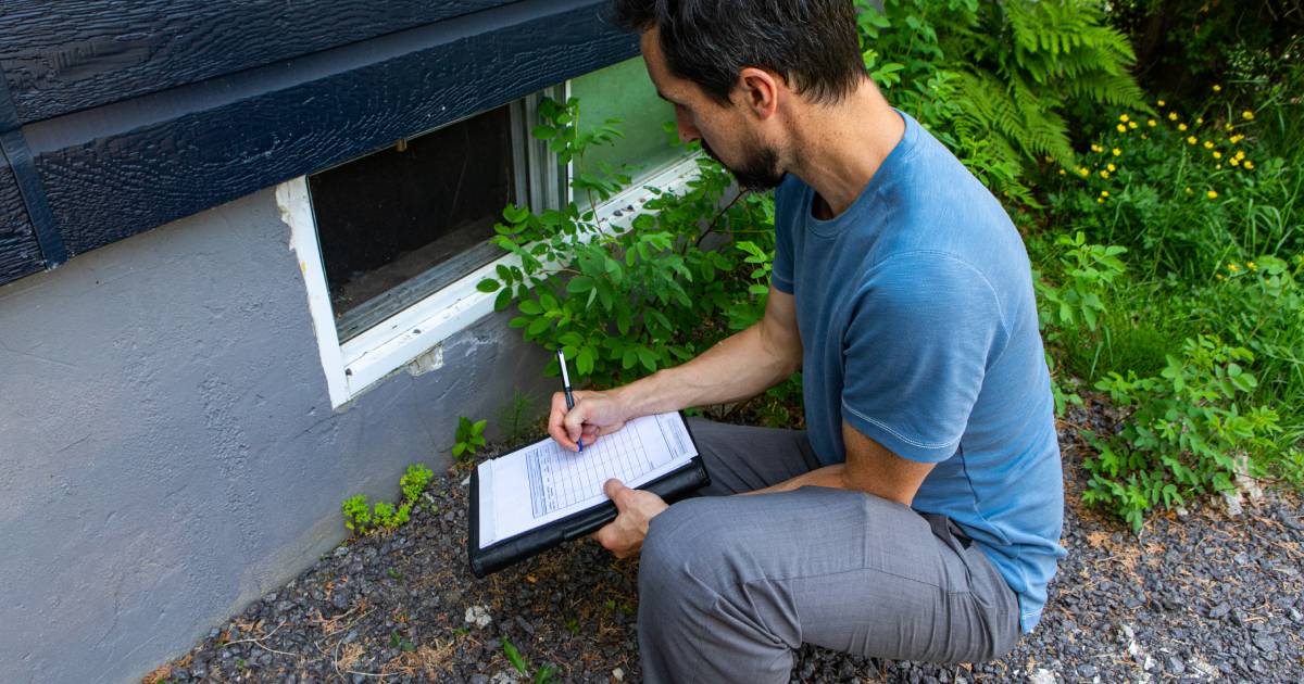 Homme faisant des tests d'humidité d'une cave