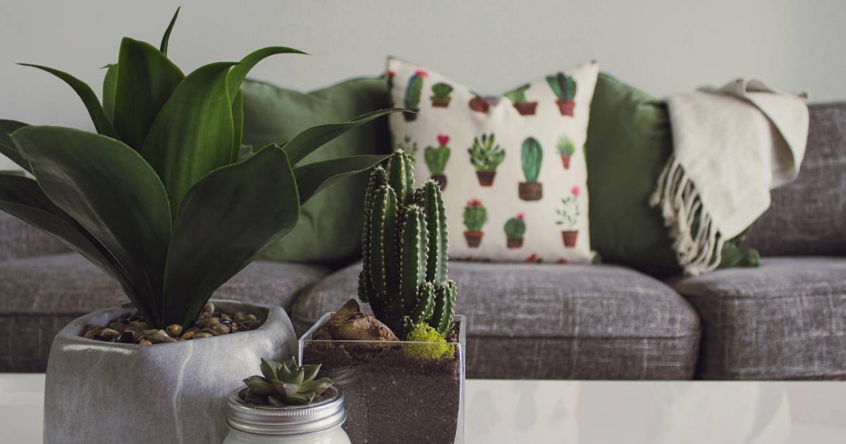 faire la décoration à moindre coût