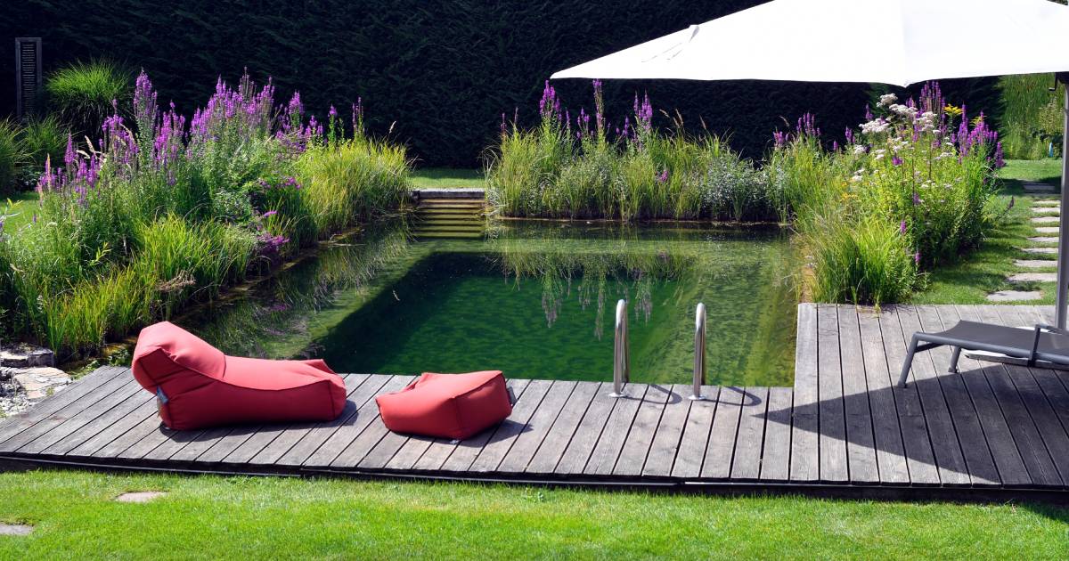 oasis de piscine