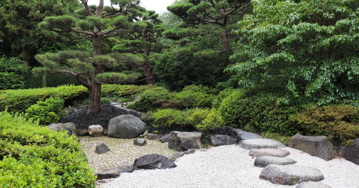 Faire l'aménagement d'un jardin