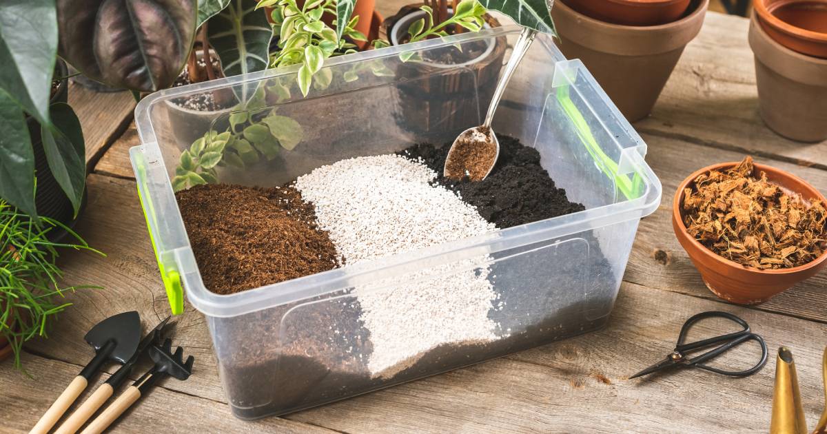 Copeaux de coco pour le jardin