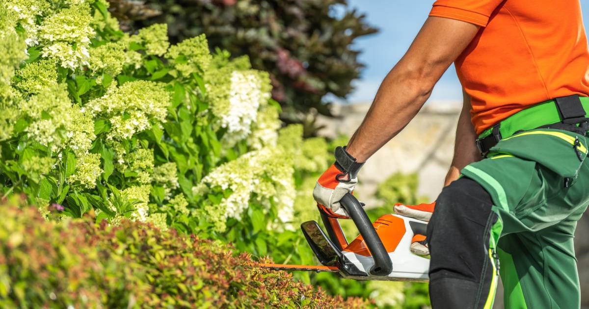 paysagiste de jardin