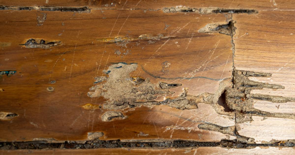 signes d'humidité dans ta maison