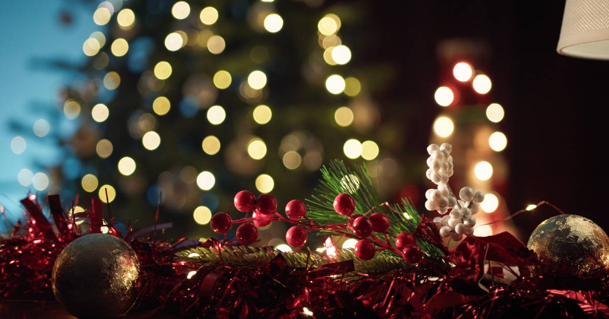 Sapin bien décoré
