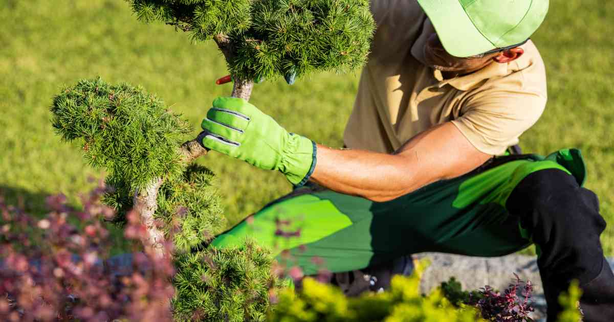 un jardinier qui travaille
