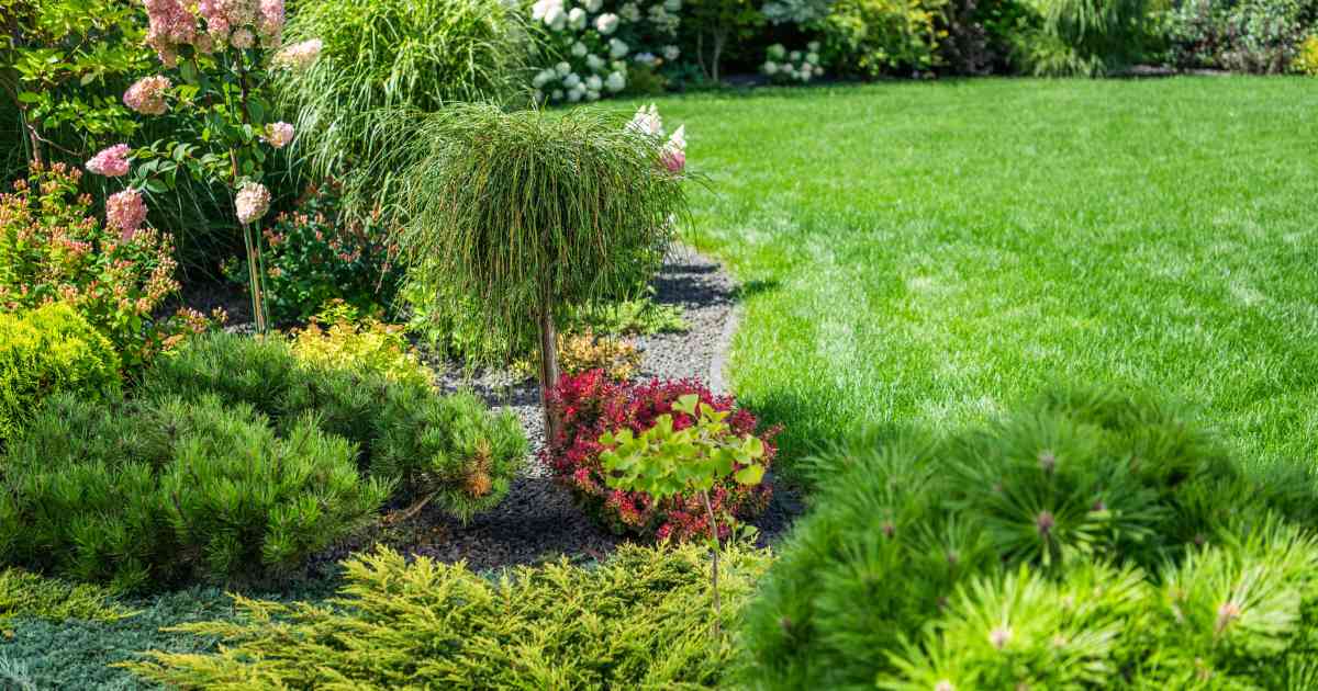 un beau jardin