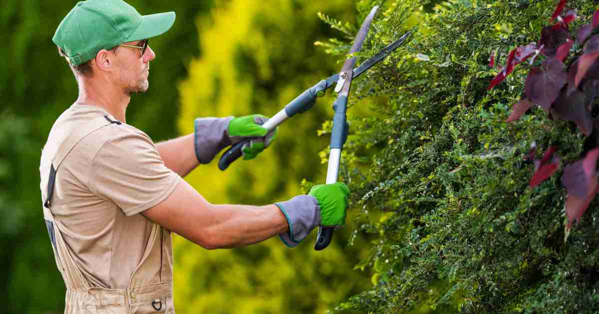 Jardinier travaillant dans le jardin.